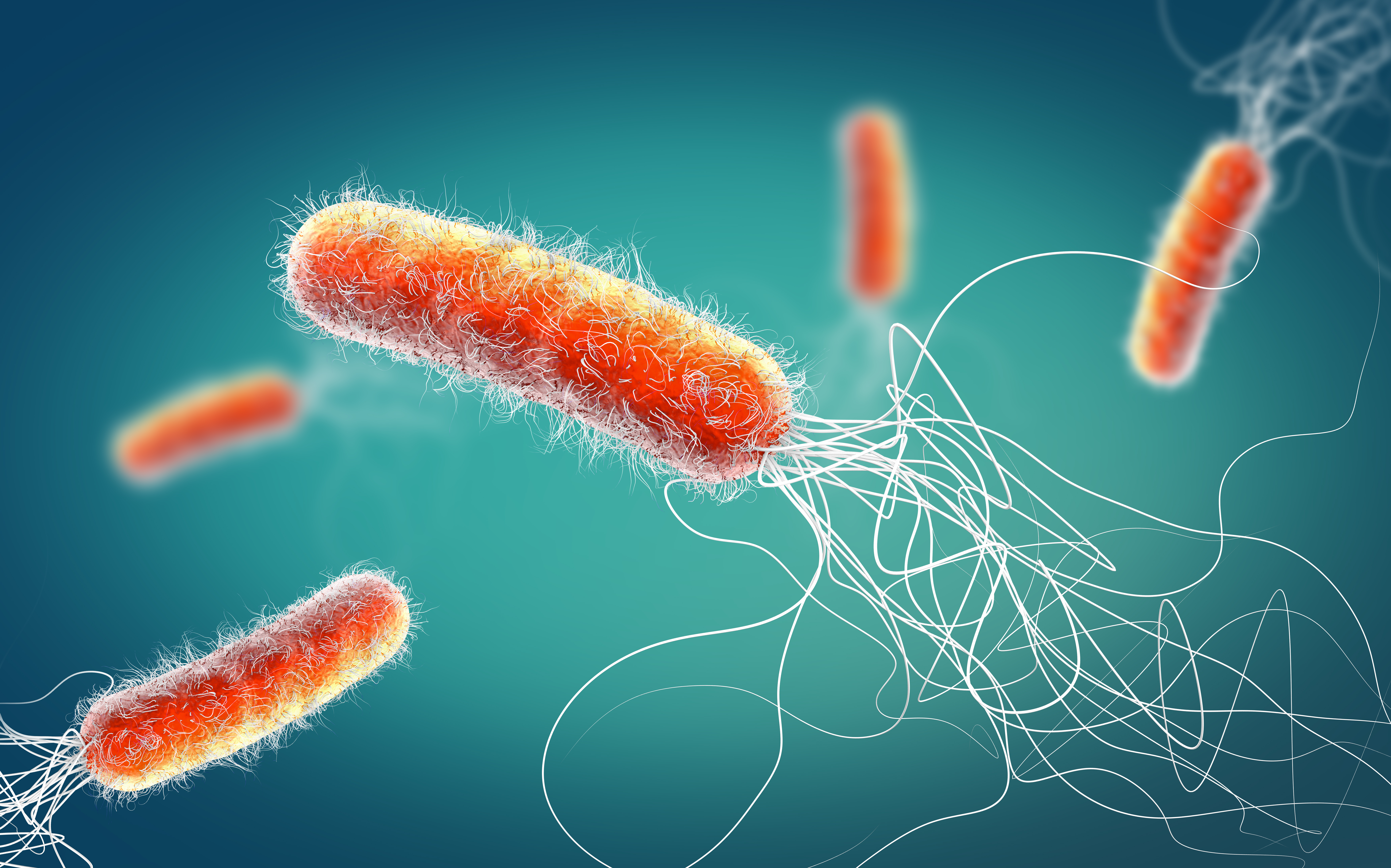 Pseudomonas